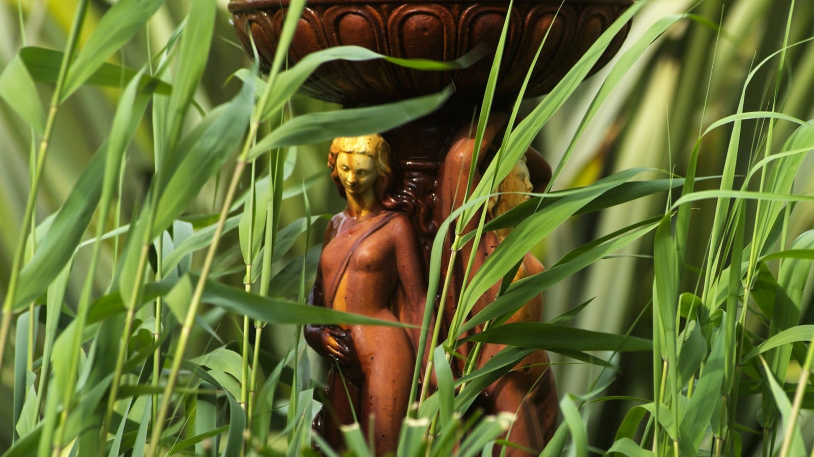 jardin_detente_mas_chapelle14